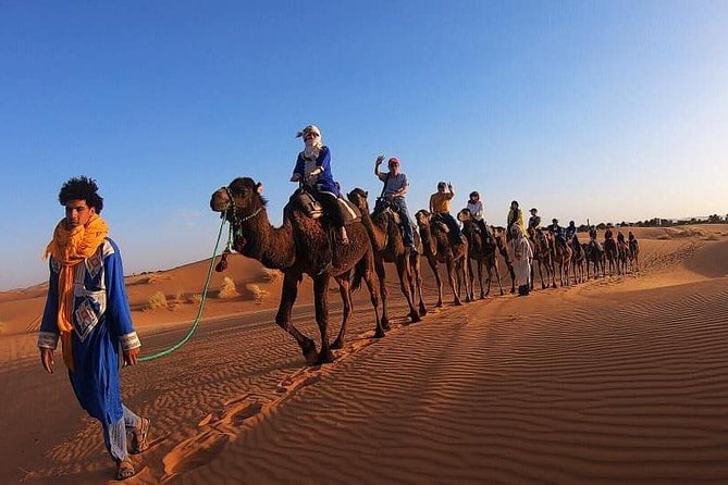 Camel Ride Experience - Highlights of the Tour