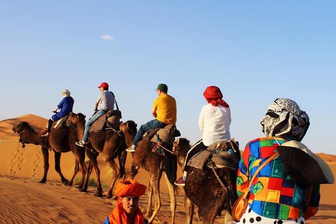 Camel Ride Experience - Inclusions and Exclusions