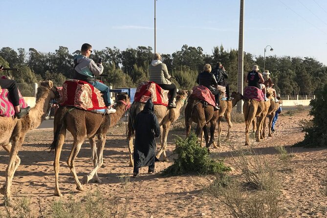 Camel Ride in Agadir at Sunset With Dinner (Bbq) - Additional Information