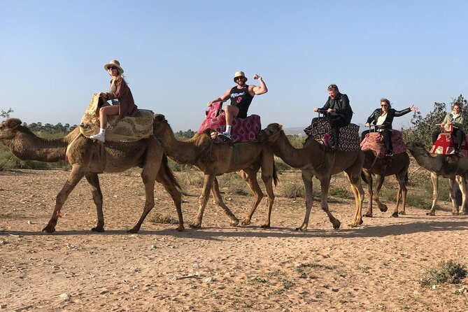 Camel Ride in Agadir at Sunset With Dinner (Bbq) - Exploring Agadir