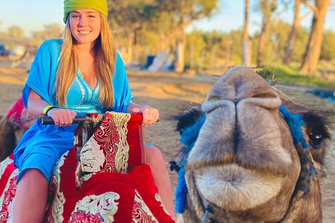 Camel Ride in Agadir at Sunset With Dinner (Bbq) - Savoring the Dinner