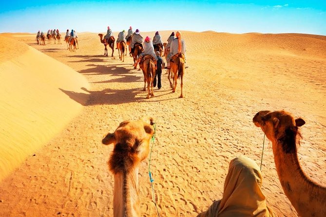 Camel Ride in Desert With Dune Bashing, BBQ Dinner and Belly Dance - Entertainment