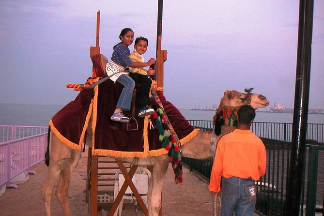 Camel Ride in Desert With Dune Bashing, BBQ Dinner and Belly Dance - Accessibility and Accommodation