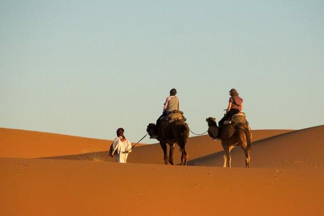 Camel Ride in Erg Chebbi Desert, 1 Night in Berber Private Tent - Breakfast and Return to Merzouga