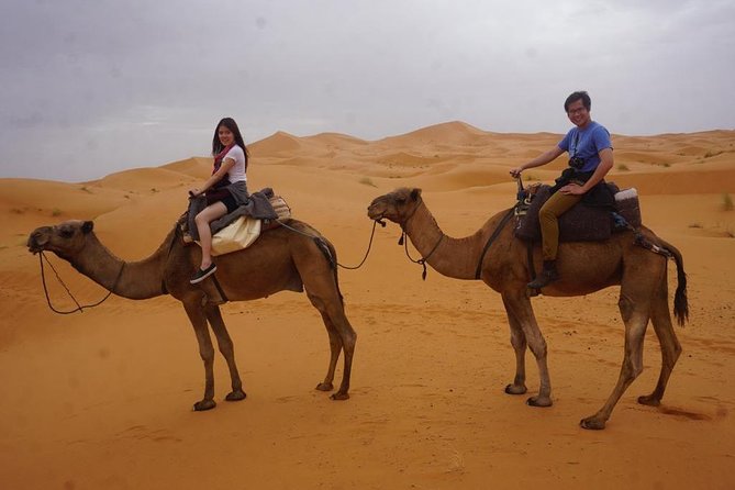 Camel Ride in Erg Chebbi Desert, 1 Night in Berber Private Tent - Included Activities and Amenities