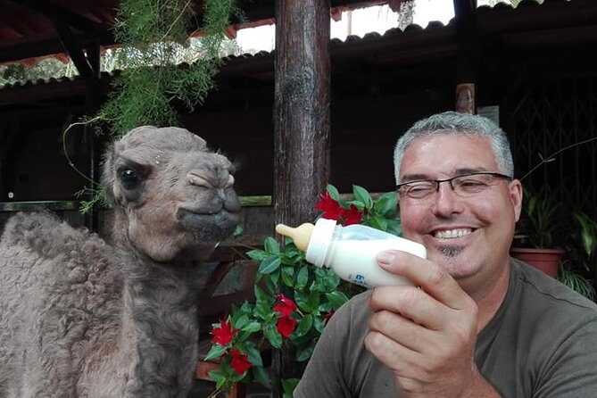 Camel Ride in Fataga With Tapas and Drinks - Location and Accessibility