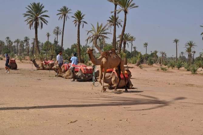Camel Ride in Marrakech Palm Grove - Dress Code and Accessories