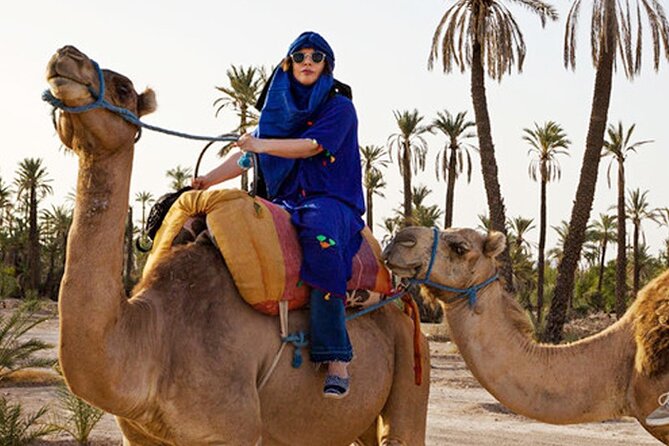 Camel Ride in Marrakeshs Palm Grove - Stunning Location in Marrakech