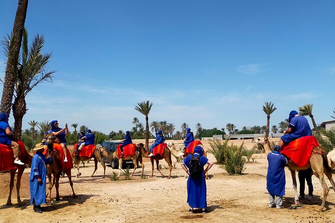 Camel Ride in Marrakeshs Palm Grove - Meeting and Pickup Information