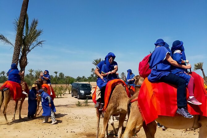 Camel Ride in Marrakeshs Palm Grove - Important Health Restrictions