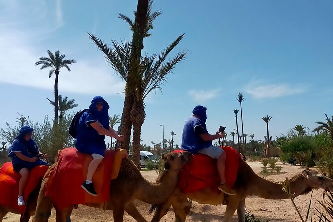 Camel Ride in Marrakeshs Palm Grove - Accessibility Considerations