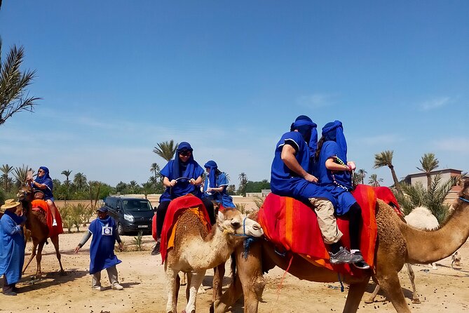Camel Ride in Marrakeshs Palm Grove - Pricing and Booking Details