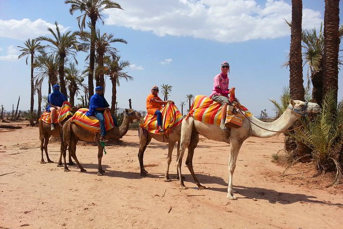 Camel Ride in Palm Groves With Tea Break - Inclusions and Amenities