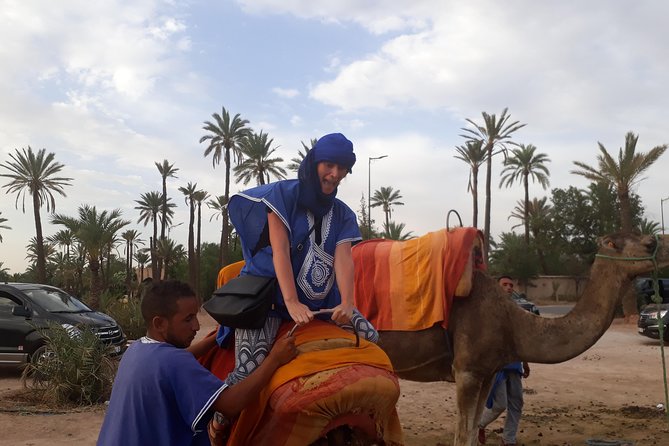 Camel Ride in Palm Groves With Tea Break - Duration and Scheduling