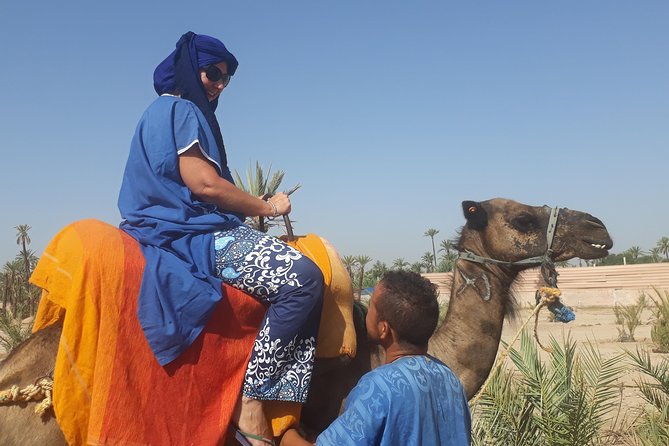 Camel Ride in Palm Groves With Tea Break - Customer Reviews and Ratings