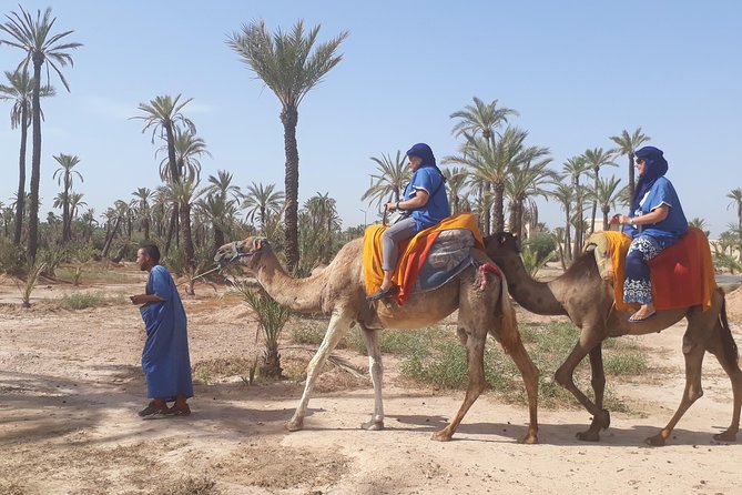 Camel Ride in Palm Groves With Tea Break - Recap
