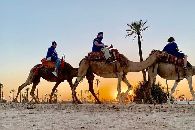 Camel Ride in the Palm Grove of Marrakech - Pickup and Dropoff