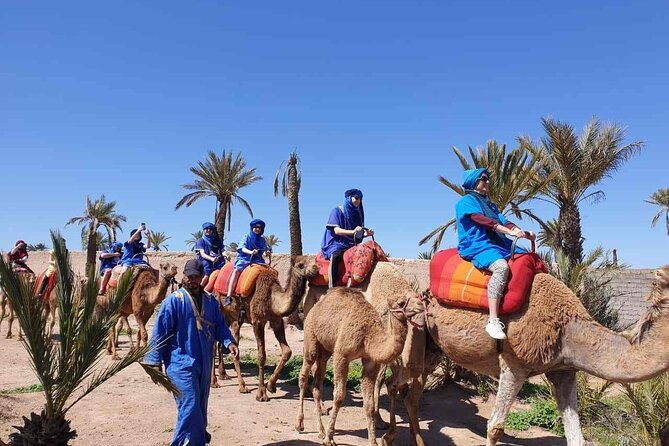 Camel Ride in the Palm Grove of Marrakech - Refreshments and Amenities