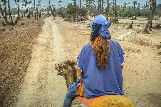 Camel Ride in the Village Berber Palmeraie - Booking and Confirmation