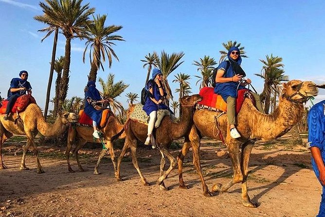 Camel Ride in the Village Berber Palmeraie - Gratuity Options