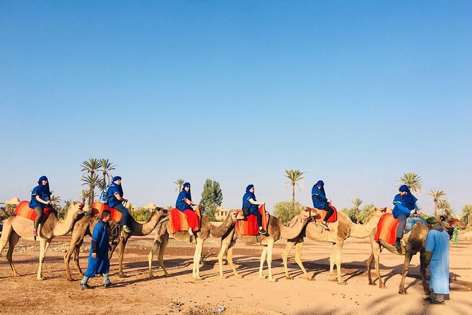 Camel Ride Marrakech - Exploring the Berber Culture