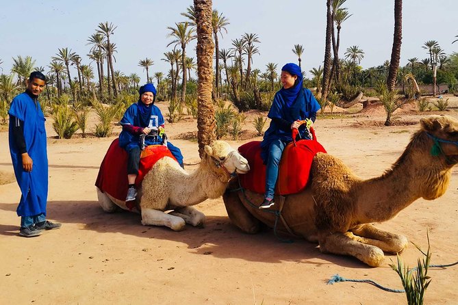 Camel Ride Marrakech - What to Expect on the Tour