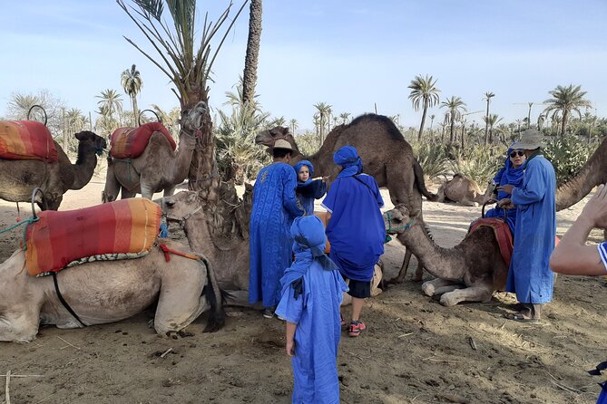 Camel Ride Marrakech Palmeraie - Meeting and Pickup Details