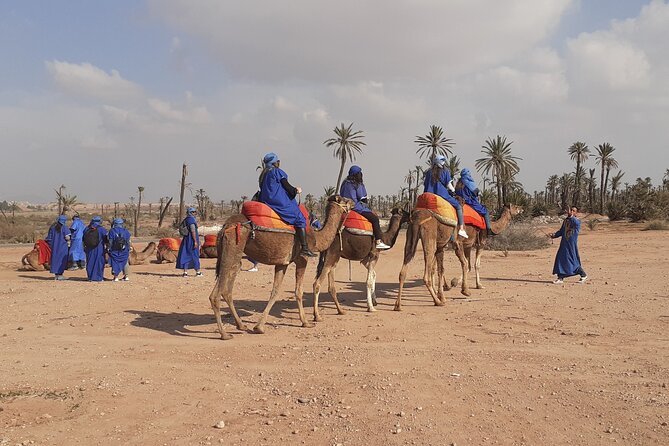 Camel Ride Marrakech Palmeraie - Highlights of the Experience