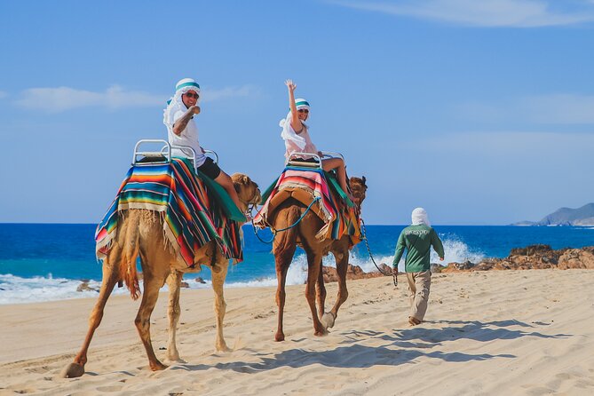 Camel Ride on the Beach With Mexican Lunch - Tour Details and Inclusions