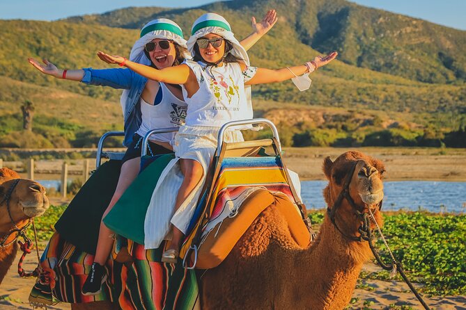 Camel Ride on the Beach With Mexican Lunch - Customer Feedback and Concerns