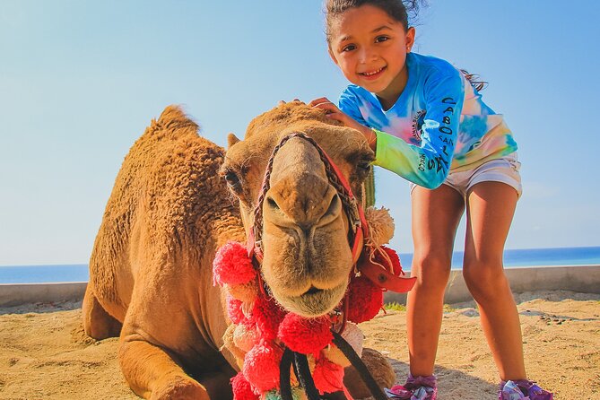 Camel Ride on the Beach With Mexican Lunch - Transportation and Safety Provisions