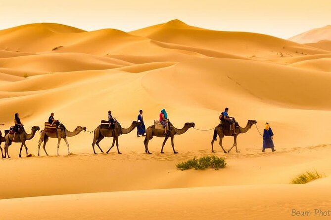 Camel Ride & Overnight Stay in Desert Camp Merzouga - Meeting and Pickup Details