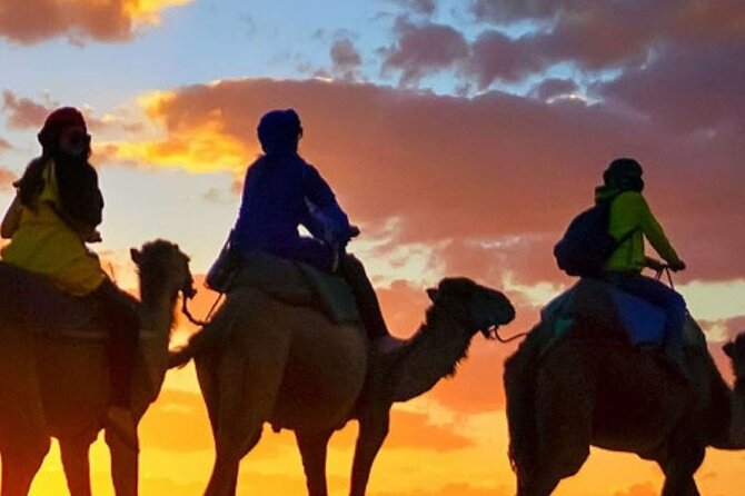 Camel Ride + Sunset + BBQ Dinner in Agadir - Inclusions and Highlights