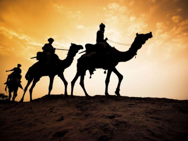 Camel Ride Tour in Palmerie of Marrakech - Inclusions and Amenities