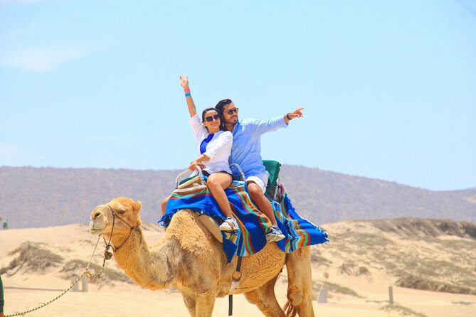 Camel Riding Experience on the Shores of the Pacific Ocean - Key Points
