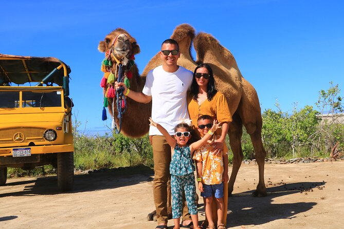 Camel Riding Experience on the Shores of the Pacific Ocean - Inclusions and Amenities