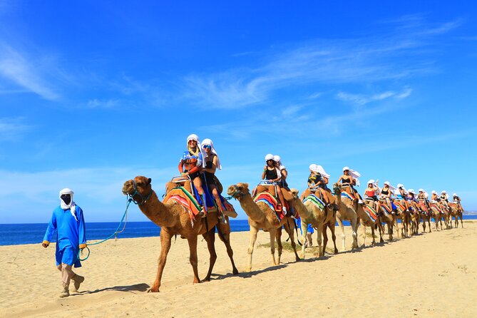 Camel Riding Experience on the Shores of the Pacific Ocean - Booking and Confirmation