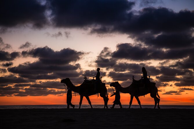 Camel Riding Experience on the Shores of the Pacific Ocean - Camel Riding Adventure