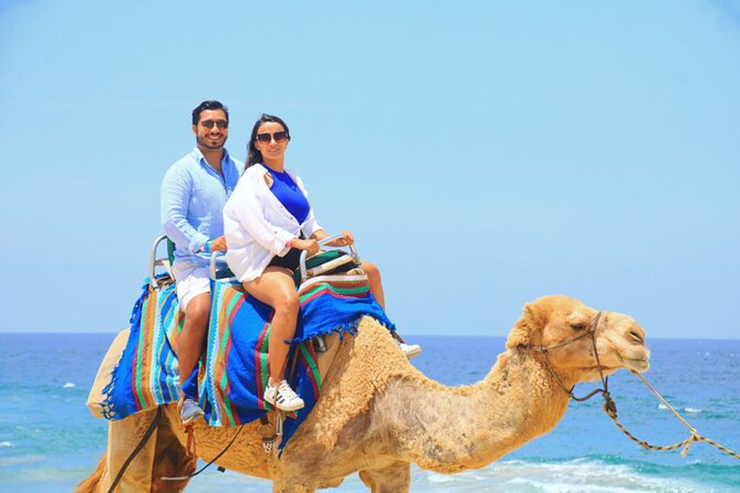 Camel Riding Experience on the Shores of the Pacific Ocean - Conservation Park Entrance