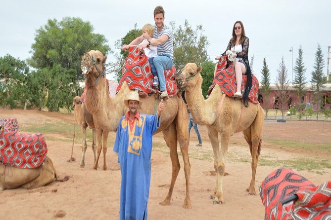Camel Riding in Agadir for Cruise Ship Passengers - Key Points