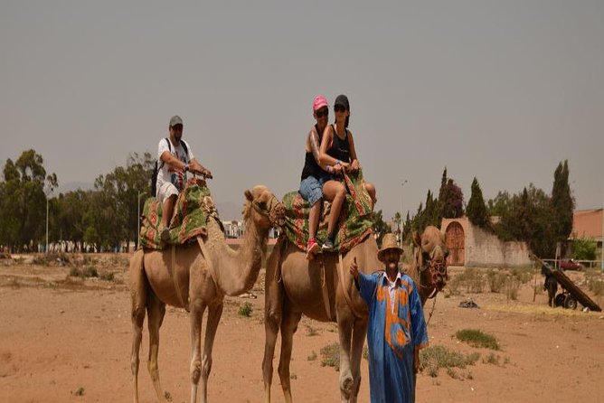 Camel Riding in Agadir for Cruise Ship Passengers - Accessibility and Recommendations