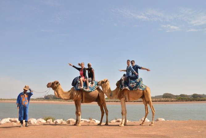 Camel Riding in Agadir for Cruise Ship Passengers - Getting to the Meeting Point