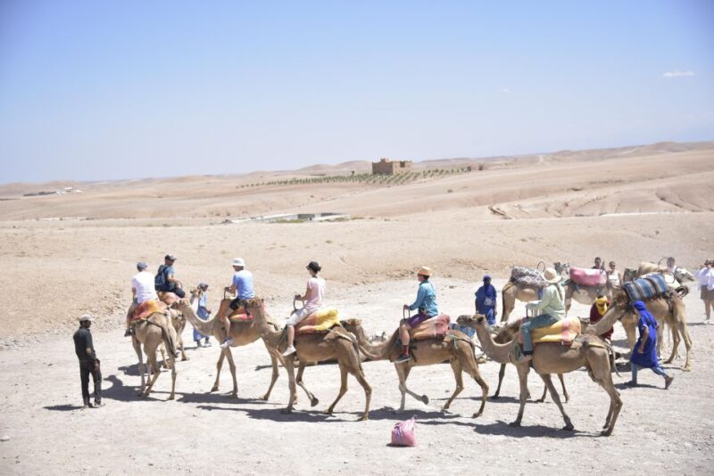 Camel Riding in Marrakech Desert, Mountain and Dinner Show - Key Points