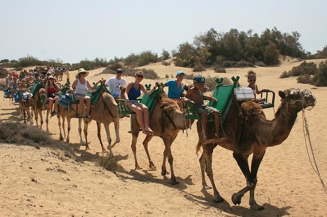Camel Riding in Maspalomas Dunes - Location and Duration