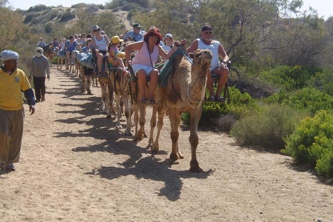 Camel Riding in Maspalomas Dunes - Preparing for the Tour