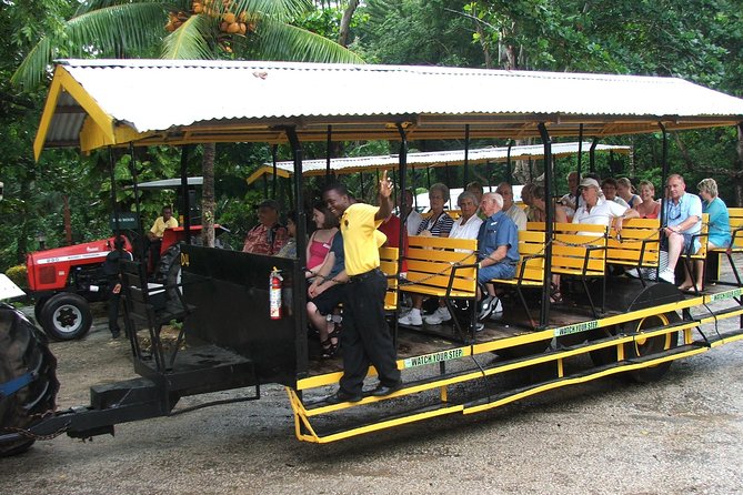 Camel Riding Outback Adventure Tour From Ocho Rios - Itinerary Details