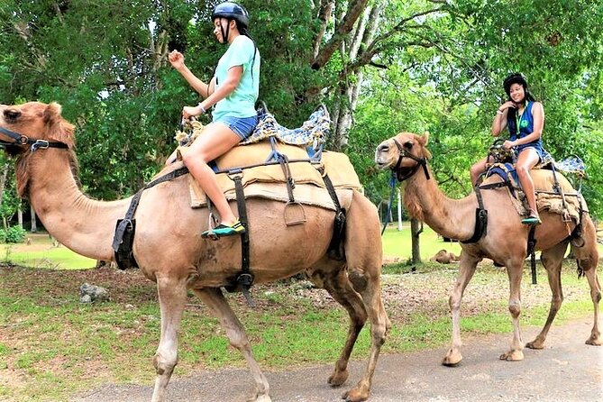 Camel Riding Outback Adventure Tour From Ocho Rios - About Your Stay