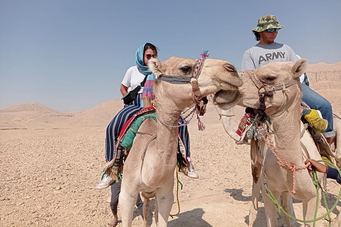 Camel Riding Tour in Luxor West Bank - Restrictions
