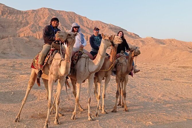 Camel Riding Tour in Luxor West Bank - Camelback Adventure