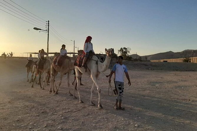 Camel Riding Tour in Luxor West Bank - Tour Duration